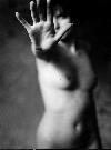 nudo7pic.jpg (2462 byte)